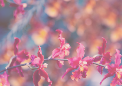 平台在线ddos压力测试